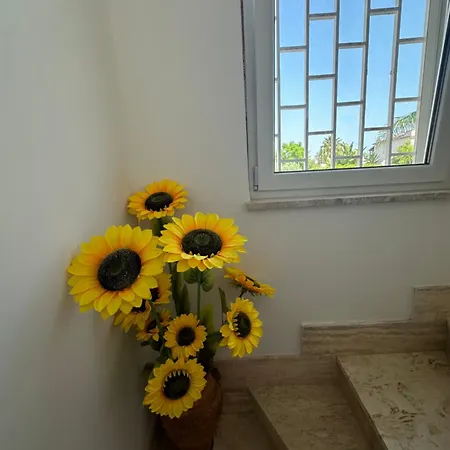Mas Διαμέρισμα
